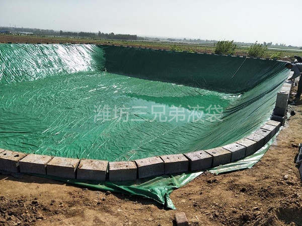 養(yǎng)魚(yú)池