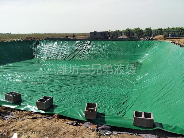 養(yǎng)魚(yú)池